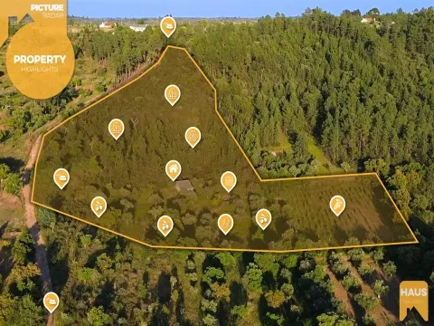  Rustic Land of 16,800m² – Building, Well, Vineyard, Orchard and Olive Grove