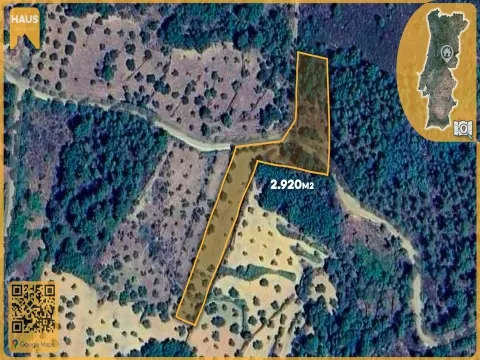 Rustic Land of 2,900 m² in Juncal do Campo – Castelo Branco