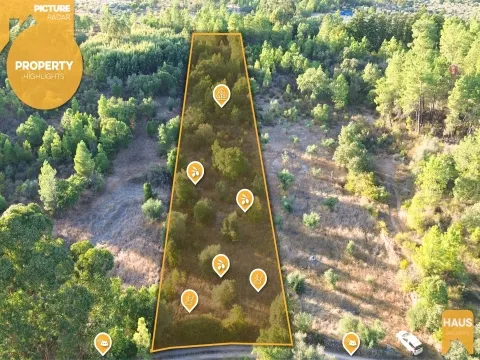 Terrain Rustique 2 300m² avec Murs en Pierre – Juncal do Campo