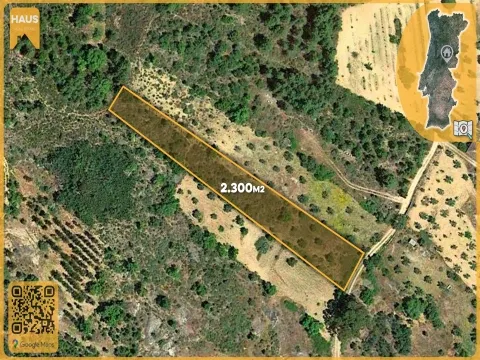 Terrain Rustique 2 300m² avec Murs en Pierre – Juncal do Campo