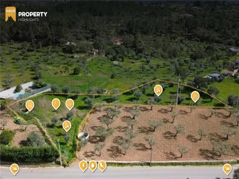 Terreno 2.680m² | Poço e Olival | Palvarinho, Castelo Branco