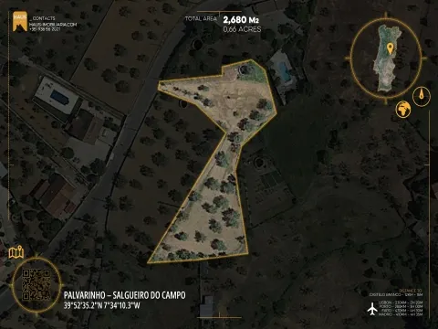 Terreno 2.680m² | Poço e Olival | Palvarinho, Castelo Branco
