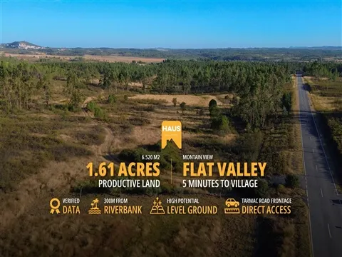 Terreno Plano de 6.520m² ao Pé da Serra | Castelo Branco