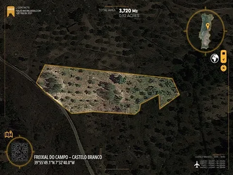 Terrain Fertile de 3 720m² avec Puits | Castelo Branco, PT