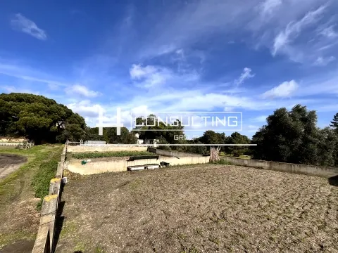 Terreno Para Construção