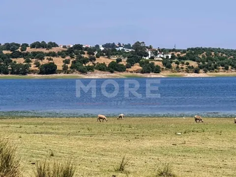 Herdade - 31,5 hectares - Torrão