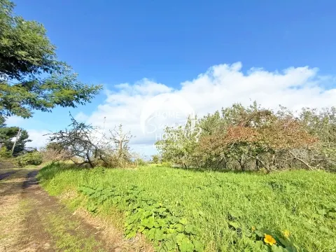 Quinta