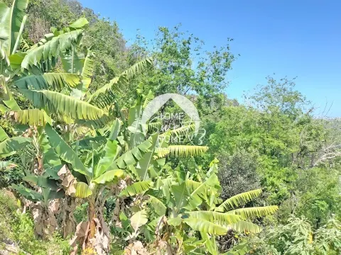 Terreno Rústico para construir, junto à Laurisilva