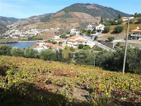 Lote de Terreno