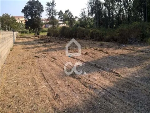 img_2
