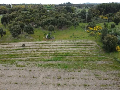 Fattoria / Cascina / Casale