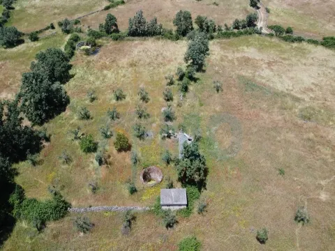 Quinta em Oledo - 10 min de Idanha e 30 de Castelo Branco