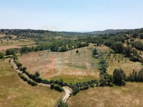 Quinta em Oledo - 10 min de Idanha e 30 de Castelo Branco