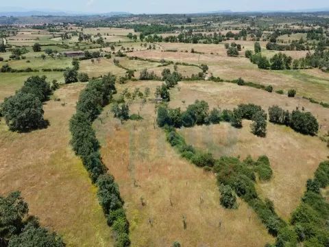 Quinta em Oledo - 10 min de Idanha e 30 de Castelo Branco