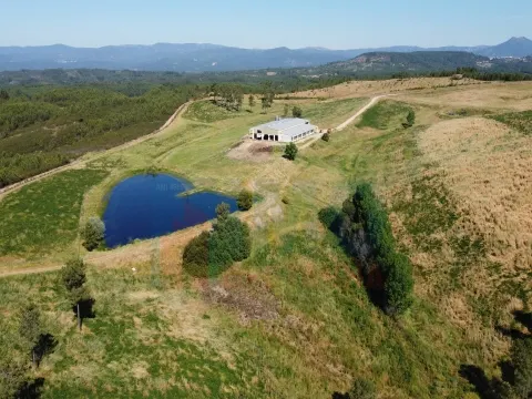 Fattoria/Azienda Agricola