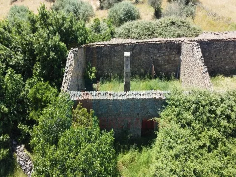 Armazém em ruinas com possibilidade de transformar em habitação - Oledo