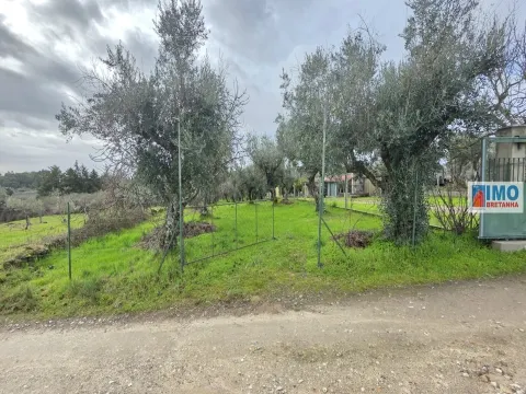 Quintinha em Póvoa de rio de Moinhos- Castelo Branco