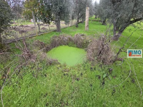 Quintinha em Póvoa de rio de Moinhos- Castelo Branco