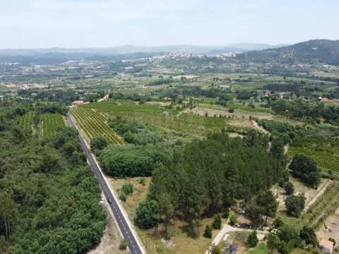 Terreno Rústico c/ 8.331 m² em Aldeia do Souto – Covilhã