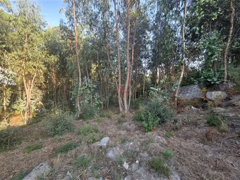 Terreno para Construção com 2.003M2 com PIP APROVADO em Roriz, Santo Tirso