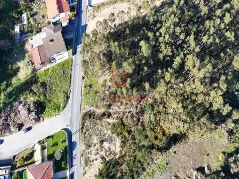 Terreno para construção com 3.400m2 em São Mamede de Negrelos, Santo Tirso