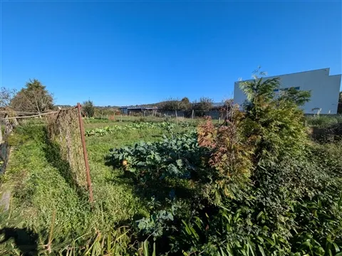 img_10