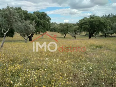 kleiner Landbesitz 2 Schlafzimmer