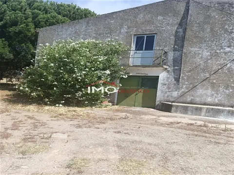 Quinta T2