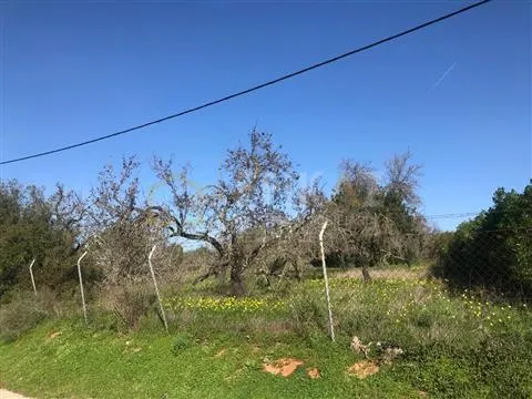 Terreno Para Construção