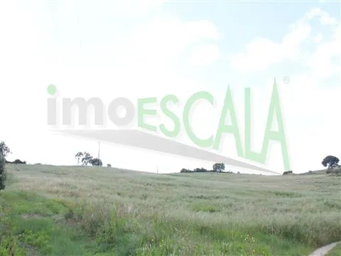 Real Estate building