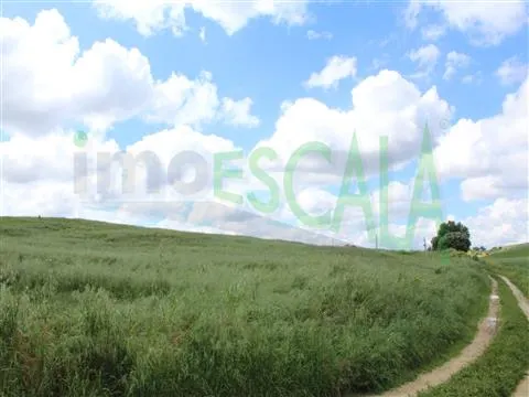 Real Estate building