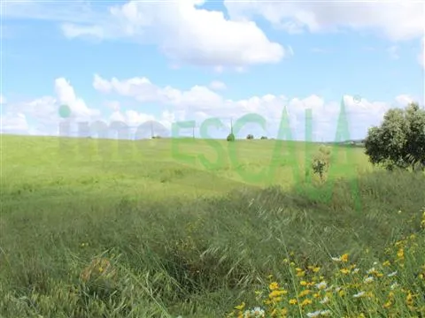 Real Estate building