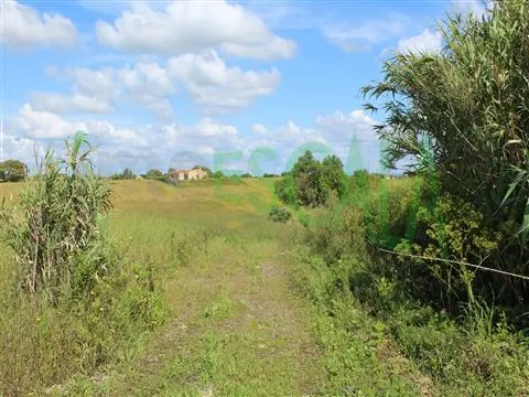 Real Estate building