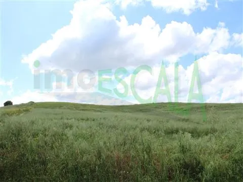 Real Estate building