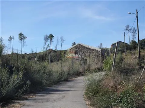 Quinta 2ha Oliveira do Hospital 
