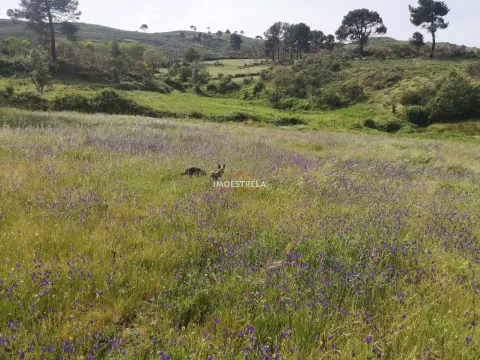 Fattoria / Cascina / Casale 6 Vani