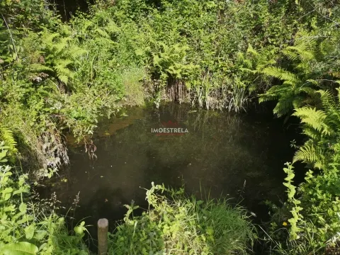 Quinta Sandomil - 30.340m2