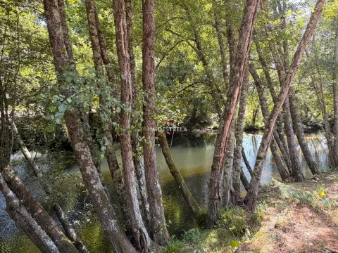 img_0