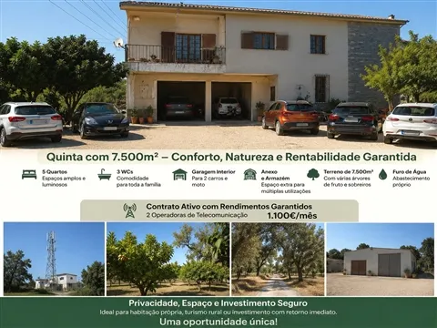 Quintinha T5