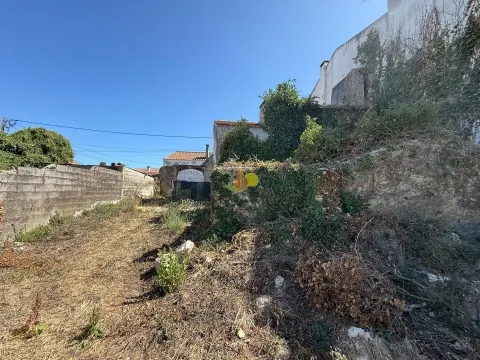 Para Reconstrução Total