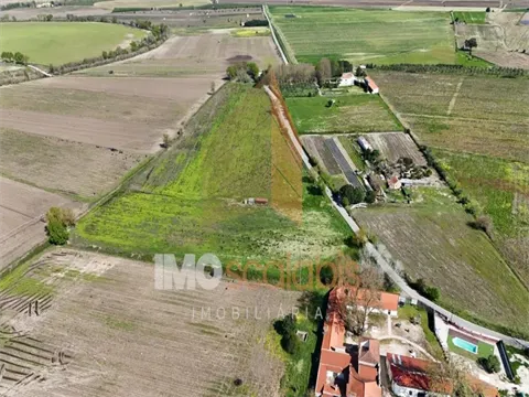 Real estate land