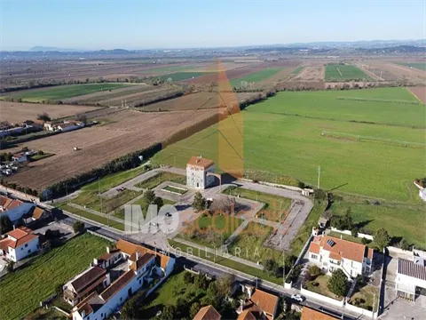 Real estate land
