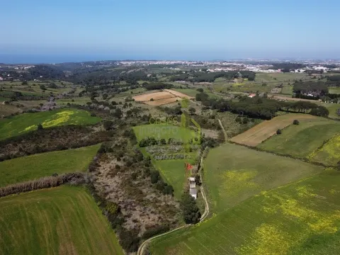 Terreno Rústico com Vista Mar e Serra – Sintra