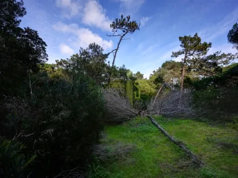 Terreno Rústico com 3.400m2 a venda em Areais, Colares