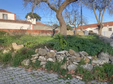 Terreno Rústico em Sintra