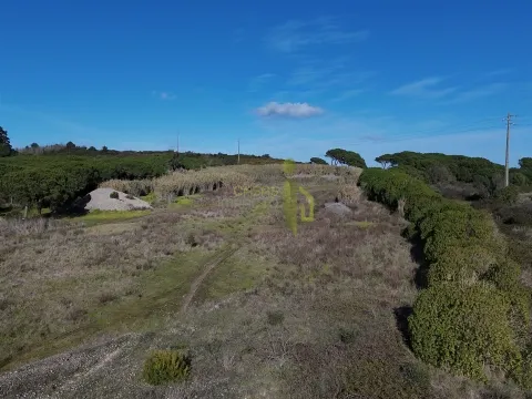 Terreno Rústico com 15.240m2, para venda na Terrugem