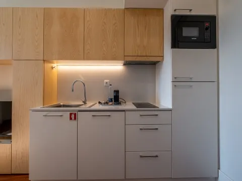 Appartement 0 Chambre(s)+1