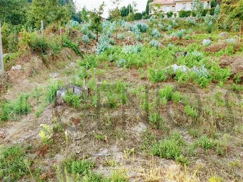 Terreno Para Construção