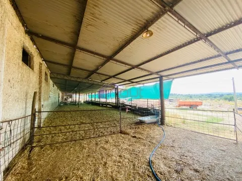 Propriedade Agrícola com 20 Hectares – Excelente Potencial e Preço Atraente