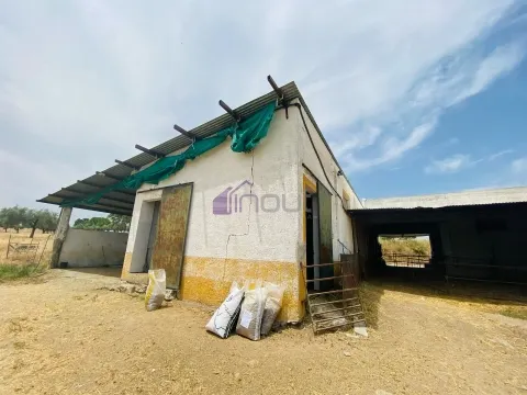 Propriedade Agrícola com 20 Hectares – Excelente Potencial e Preço Atraente